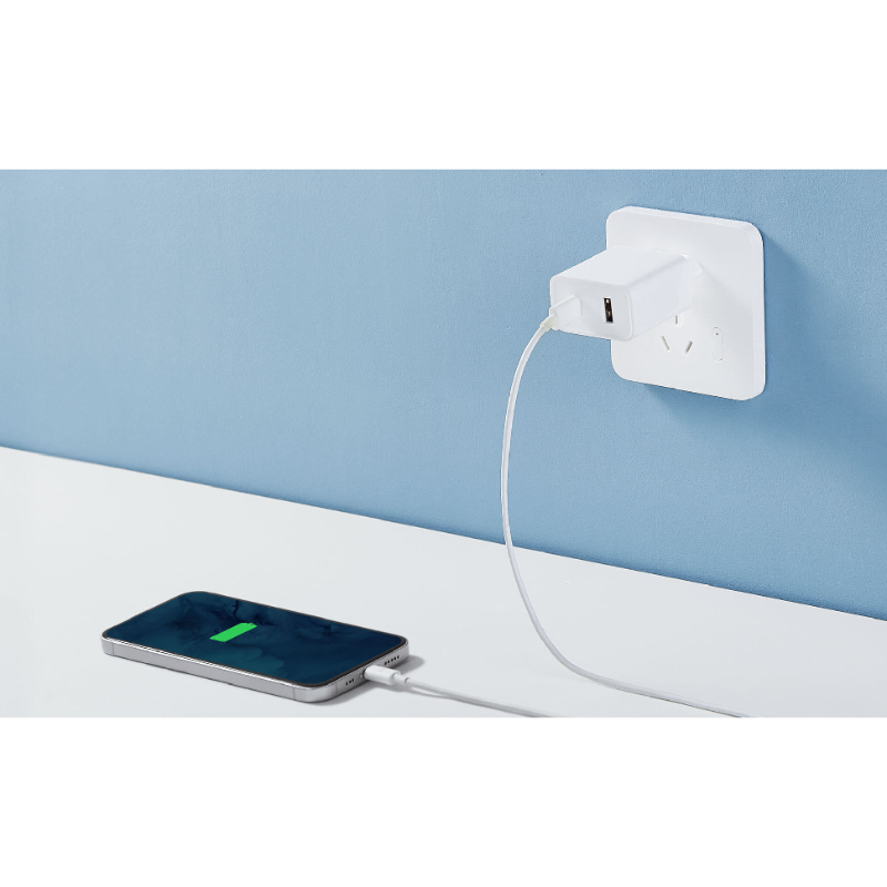 Mi 33W Wall Charger (Type-A + Type-C), UAE Version